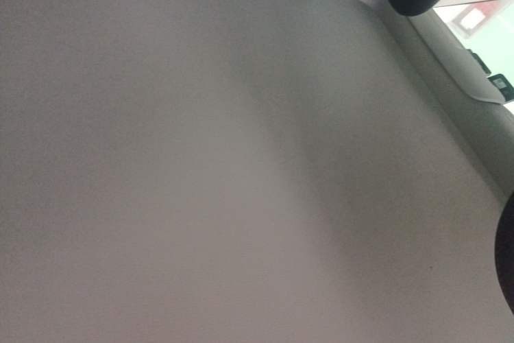 Used Tesla Model Y 2023 Rear-Wheel-Drive Version Headliner