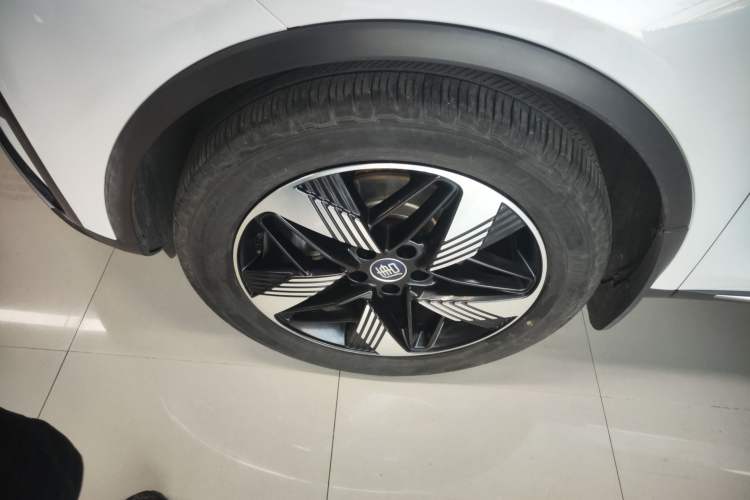 Used BYD Tang New Energy 2023 DM-i Champion Edition 112KM Prestige Model
