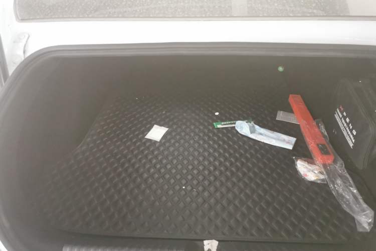 Used XPeng P7 2020 586N Trunk