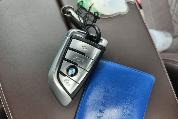 Used BMW 5 Series New Energy 2020 530Le Pioneer Edition
