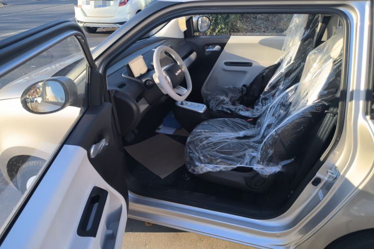 Used Qiyuan Lumin 2026 Model Treasure Edition 205km Passionate Beige Ningde
