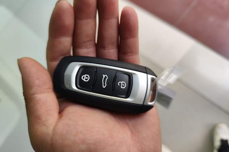 Used Livan Blue Balloon 2025 Model Dynamic Version