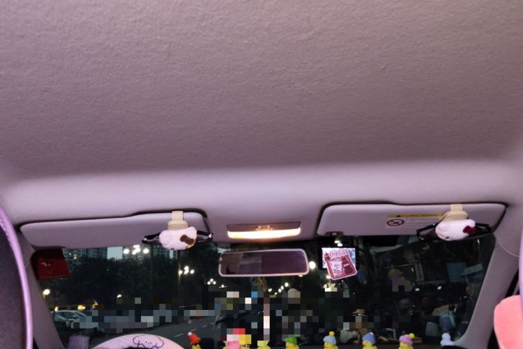 Used Skoda Rapid 2016 1.4L Manual Front-Wheel Drive Model Headliner