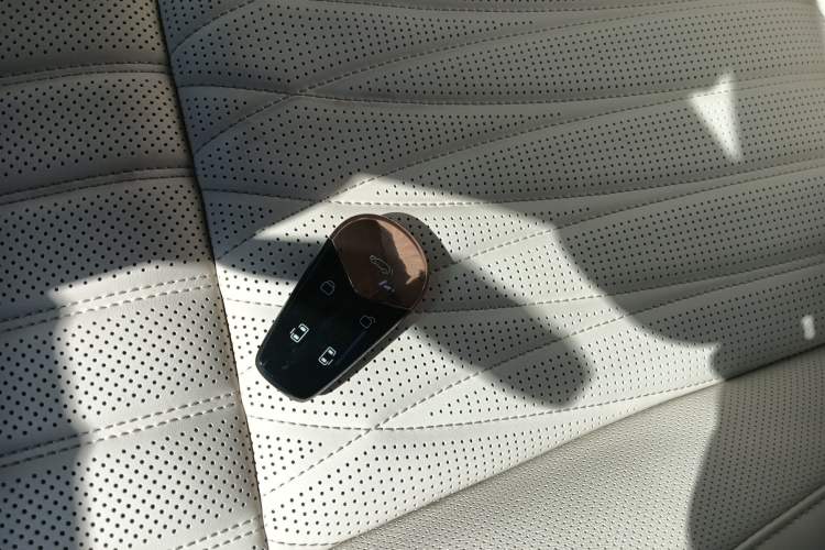 Used VOYAH Dream 2024 PHEV Extended-Range Premium Edition
