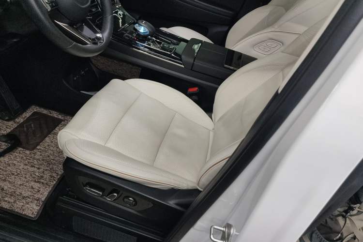 Used GAC Trumpchi E9 2023 E9 MAX Left Front Seat