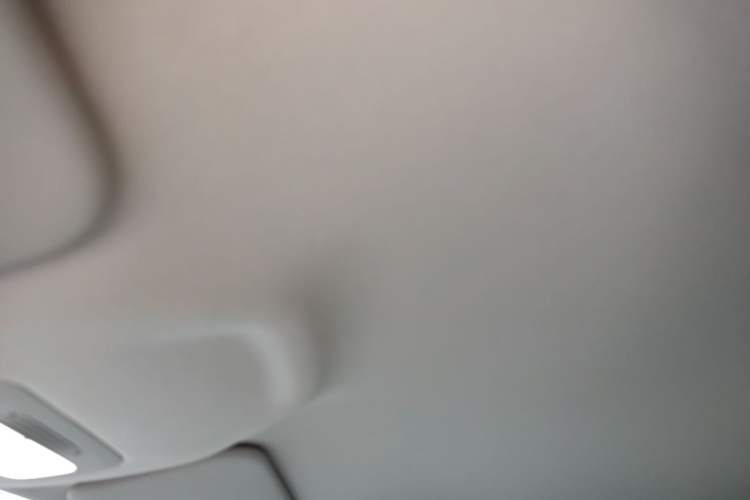 Used Geely Galaxy Geome 2025 310km Youth Edition Headliner