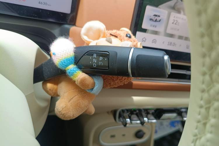 Used ORA Good Cat 2025 Model, 430 km Luxury Version Gear Lever