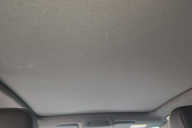 Used Volkswagen ID.4 X 2022 Intelligent Long-Range Version Headliner