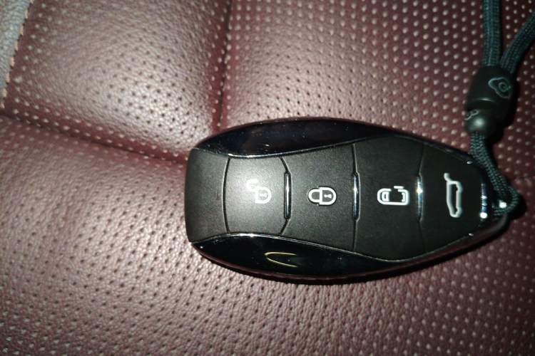 Used Hongqi HQ9 2023 2.0T Smart Connect Flagship Edition Vehicle Key