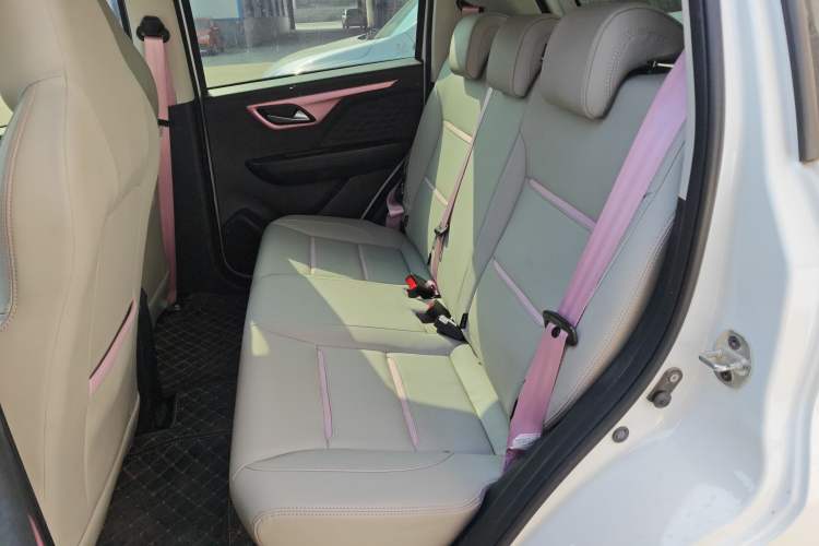 Used SOL E10X 2022 Flower Fairy Design Sunflower