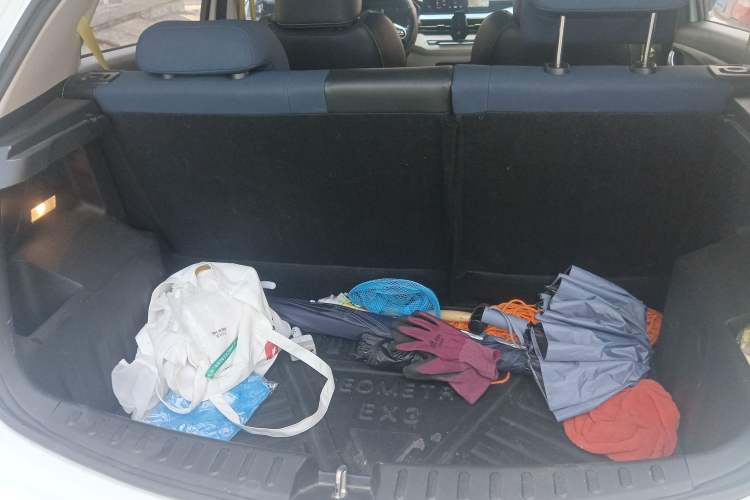 Used Geometry EX3 Kung Fu Cow 2021 Kungfu NiuNiu