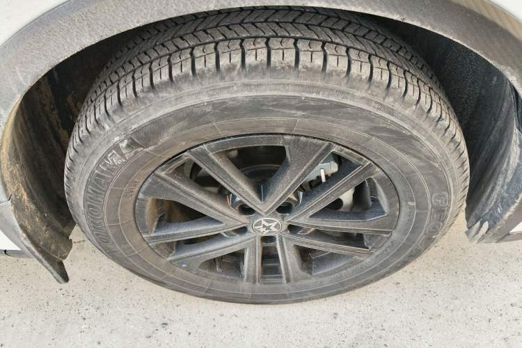 Used Venucia V 2024 260T New Star Edition Pro