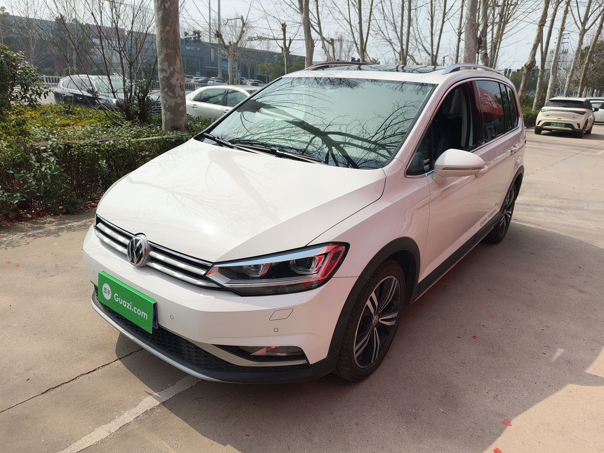 Parte inferior delantera