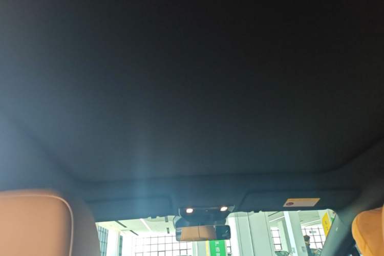 Used Li Auto i6 2025 Model Two-Wheel-Drive Standard Type Headliner