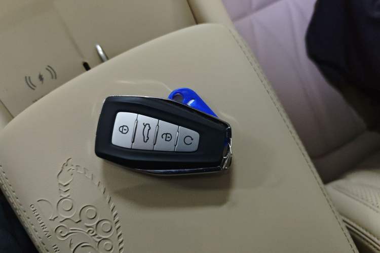 Used Geely Auto Monjaro L 2025 Dongfang Yao 2.0TD Automatic All-Wheel-Drive Wangyue Edition