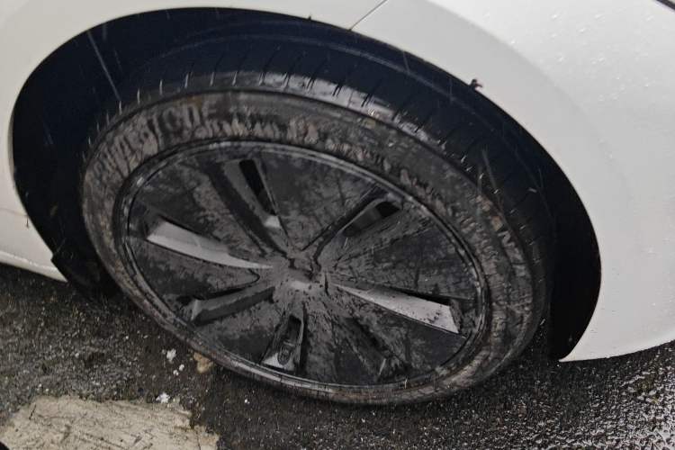 Used Tesla Model 3 2025 Model Revised Rear-Wheel-Drive Version