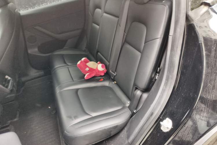 Used Tesla Model Y 2021 Long-Range All-Wheel-Drive Version