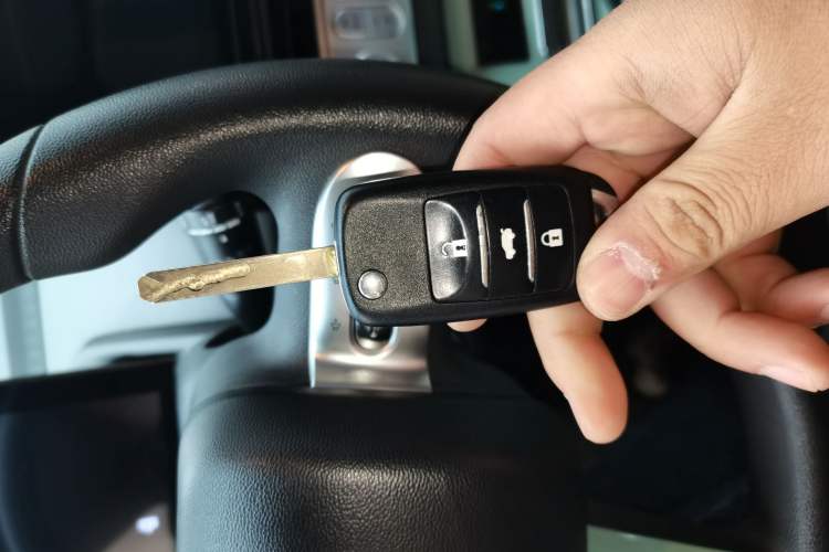 Used Qiyuan Lumin 2022 210km Sweet Edition
