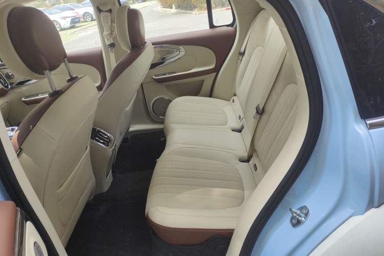 Used ORA Ballet Cat 2023 401 km Luxury Version
