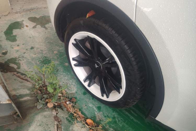 Used Tesla Model Y 2022 Revised Version Rear-Wheel Drive Exterior 5