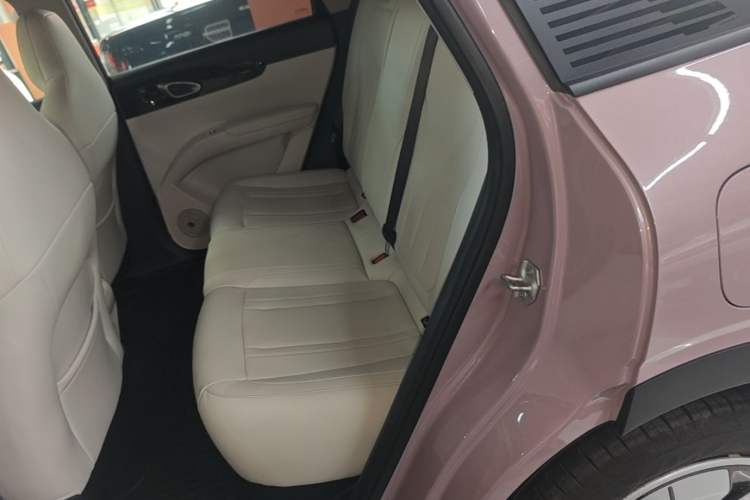 Used Geely Galaxy Geome 2025 310km Youth Edition