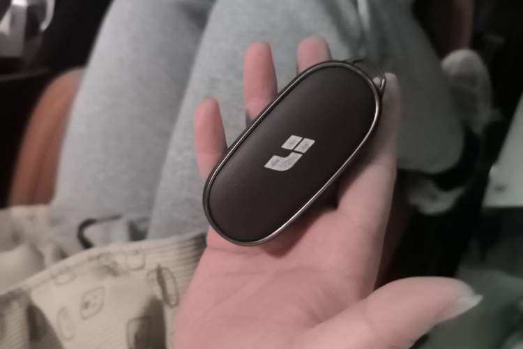 Used Li Auto L6 2024 Pro Model