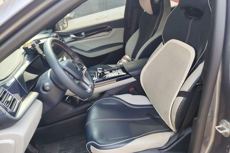 Used BYD Qin PLUS 2021 EV 500KM Luxury Model Left Front Seat