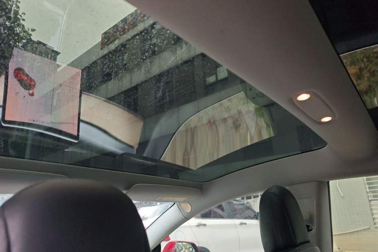 Used Tesla Model 3 2019 Performance High-Performance All-Wheel-Drive Version Headliner