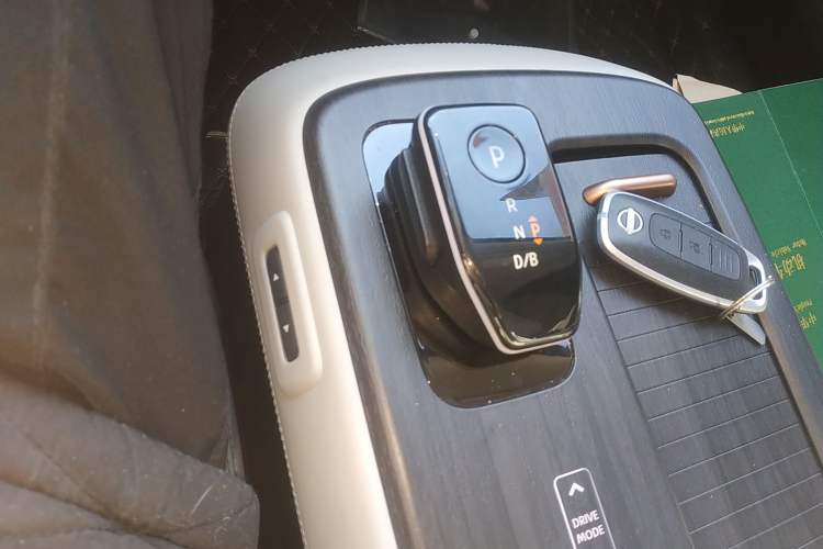 Used Nissan ARIYA 2022 Two-Wheel Drive Long-Range Version