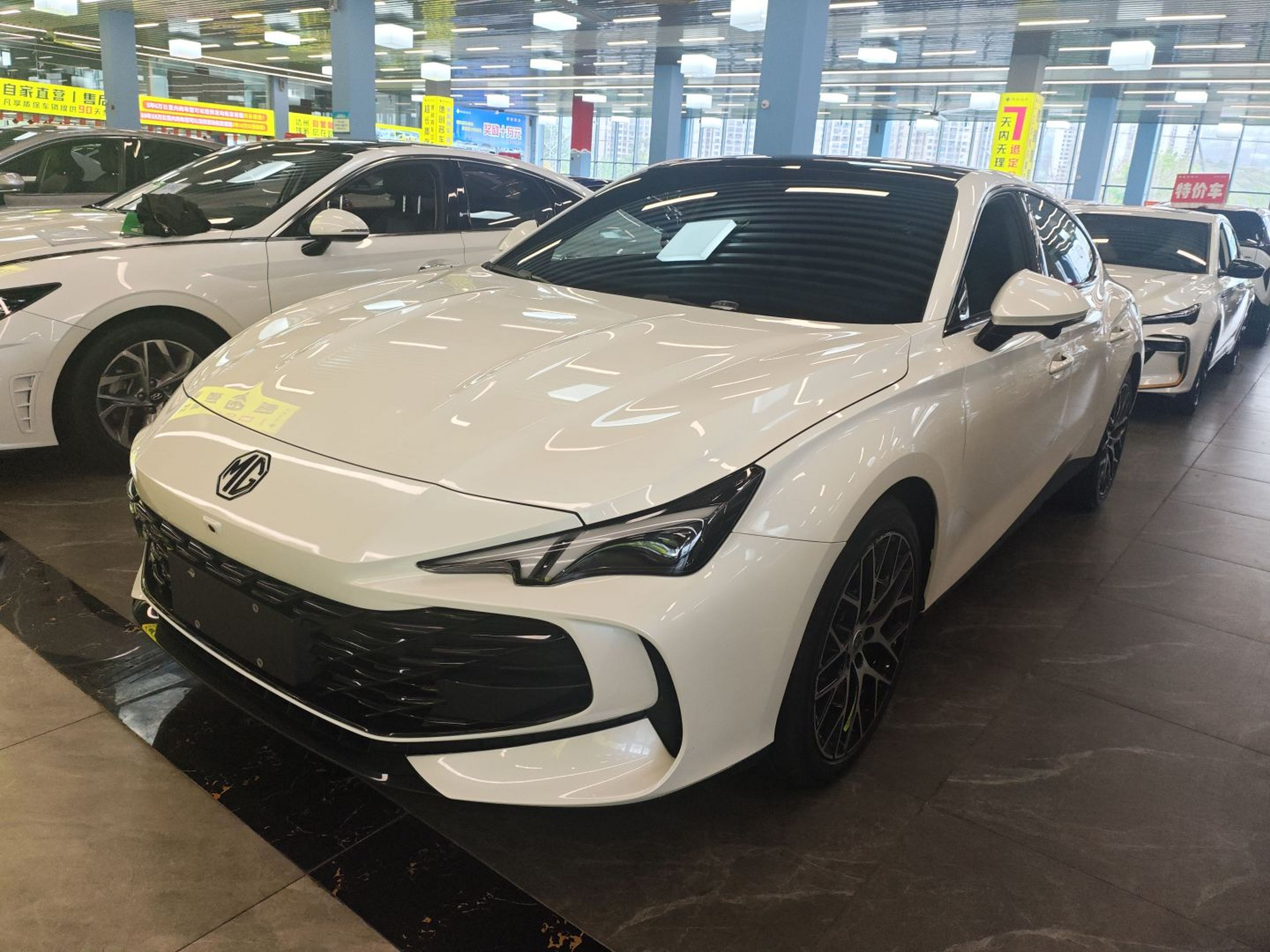 Parte inferior delantera