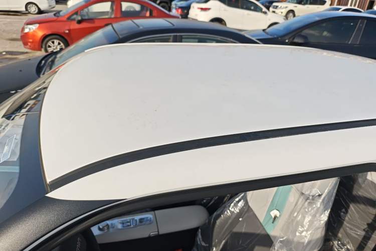 Used Qiyuan Lumin 2025 205 km Xiangqin Version