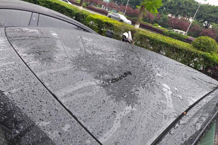 Used Tesla Model Y 2021 Long-Range All-Wheel-Drive Version 3D7
