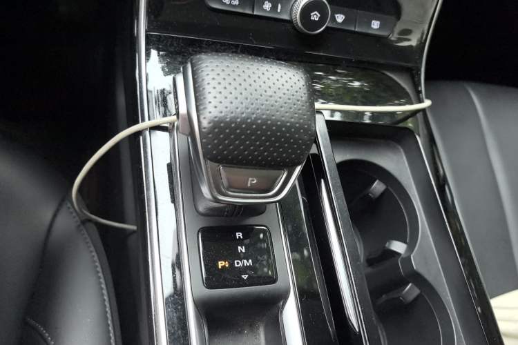 Used Roewe RX5 MAX 2019 300TGI Automatic 4G Connect Luxury Edition Gear Lever