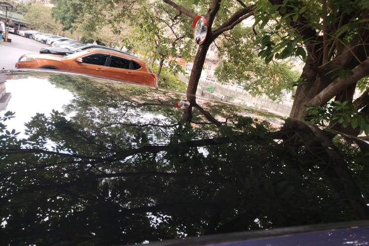 Used Honda P7 2025 Four-Wheel Drive Long-Range Max Roof