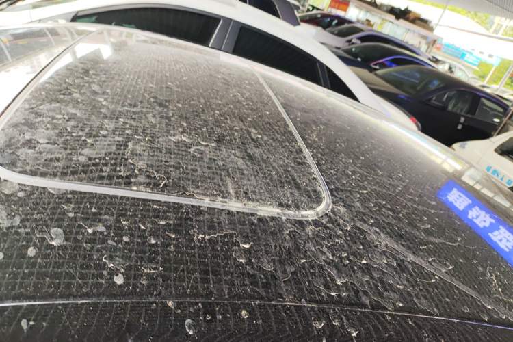 Used Honda Accord 2023 260TURBO Smart Enjoyment Version Roof