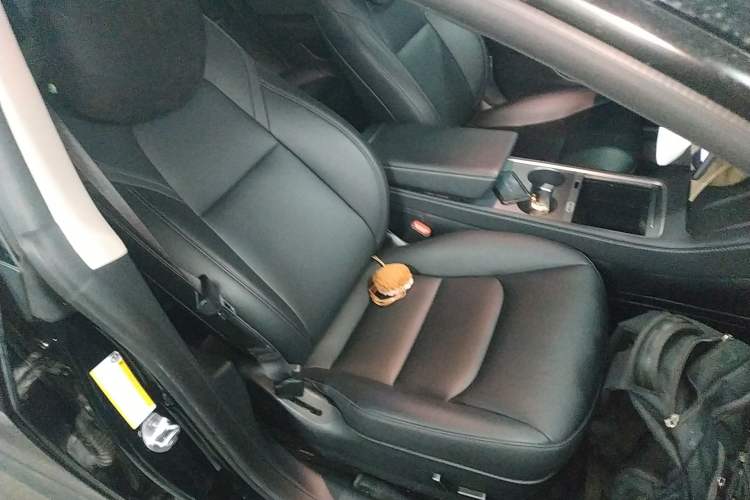 Used Tesla Model 3 2022 Rear-Wheel-Drive Version