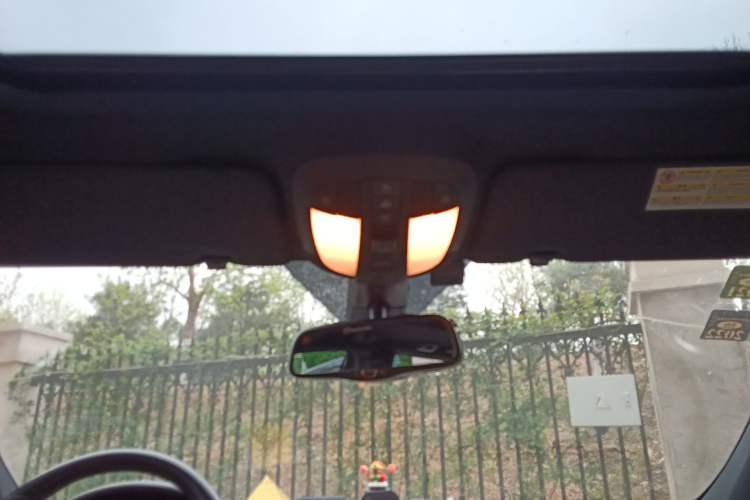 Used Mercedes-Benz M-Class 2010 ML 350 4MATIC Luxury Special Edition Headliner