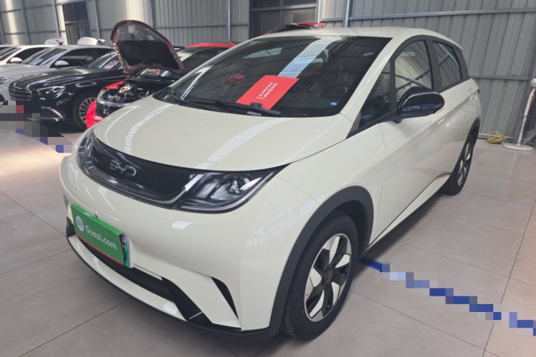 Used BYD Dolphin 2025 420km Free Edition