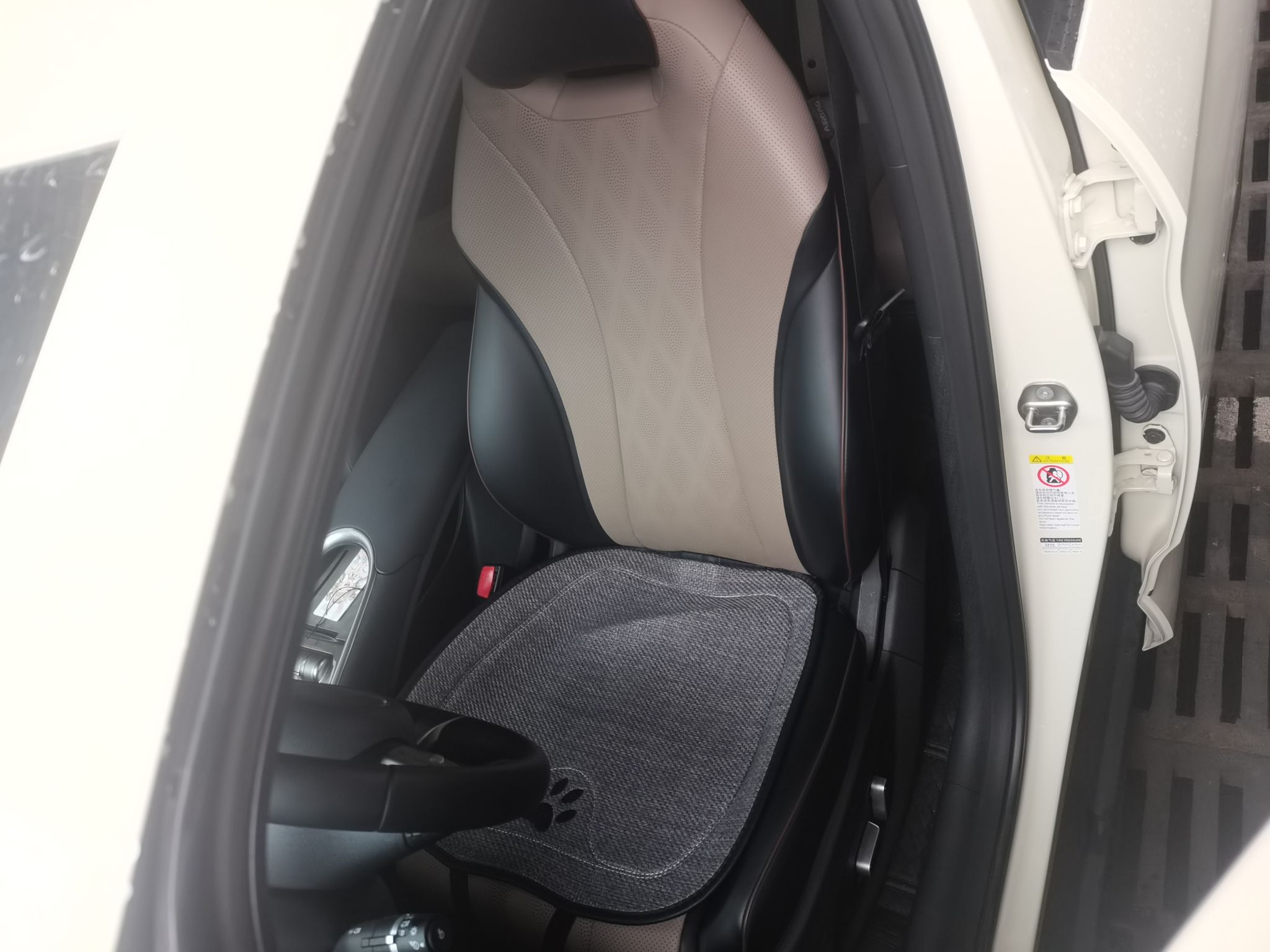 Interior delantero