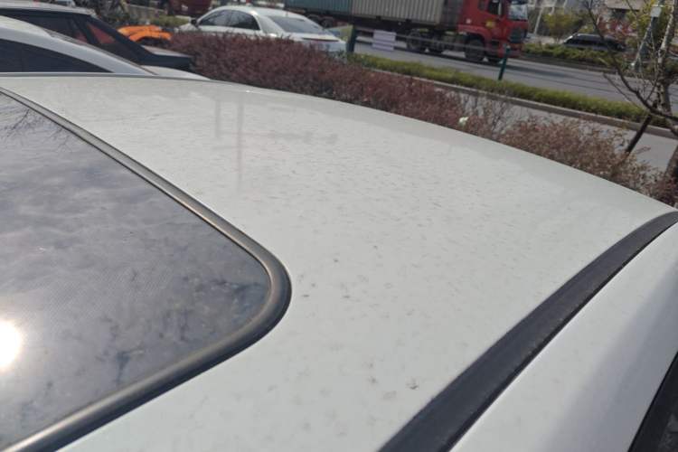 Used Kia Forte 2014 1.6L AT GLS