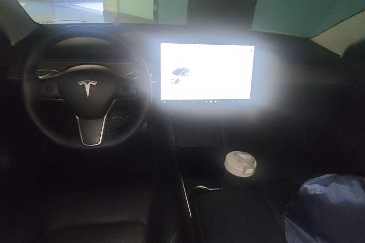 Used Tesla Model 3 2019 Long-Range All-Wheel-Drive Version
