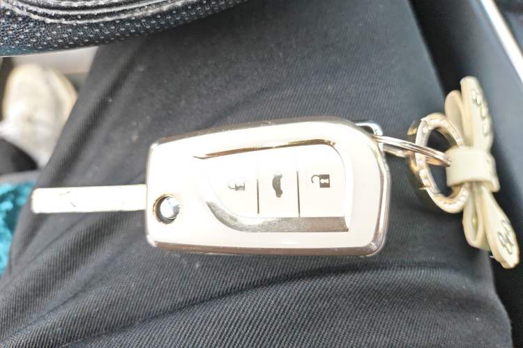 Used Toyota Wildlander 2022 2.0L CVT Two-Wheel Drive Leading Edition Vehicle Key