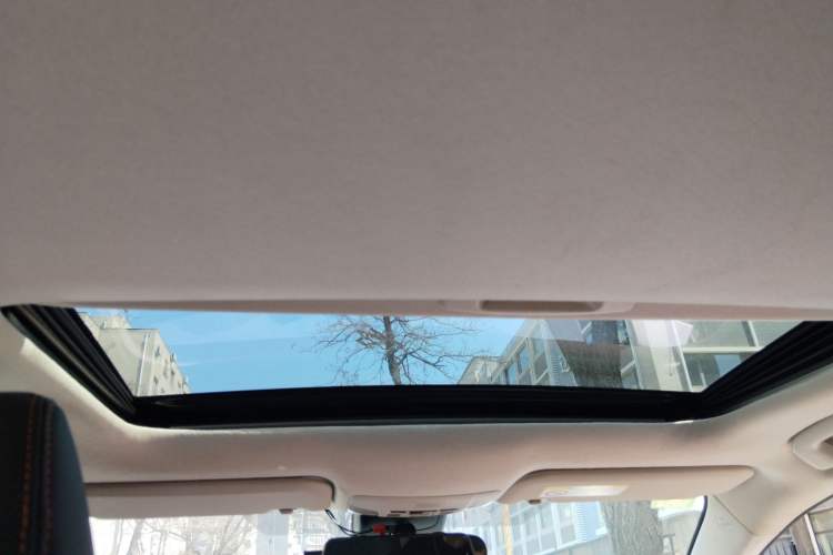 Used Toyota Corolla 2021 1.2T S-CVT Elite PLUS Edition Headliner