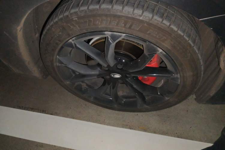 Used ORA Lightning Cat 2024 Dark Night Edition 555km Prestige Version