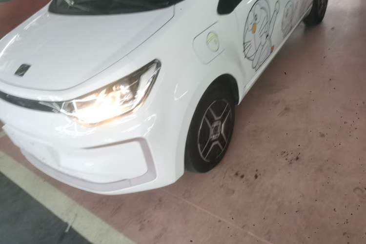 Used SOL E10X 2022 Flower Fairy Design Four-Leaf Clover