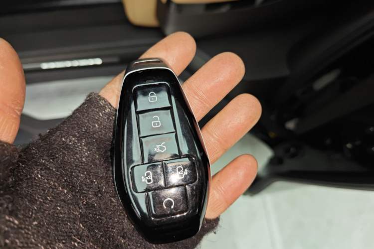 Used Denza D9 2025 DM-i Intelligent Drive 1020 Four-Wheel Drive Flagship Model