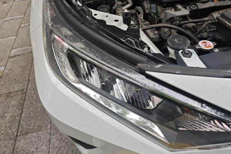 Used Toyota RAV4 2021 2.0L CVT Two-Wheel Drive Fashion PLUS Edition