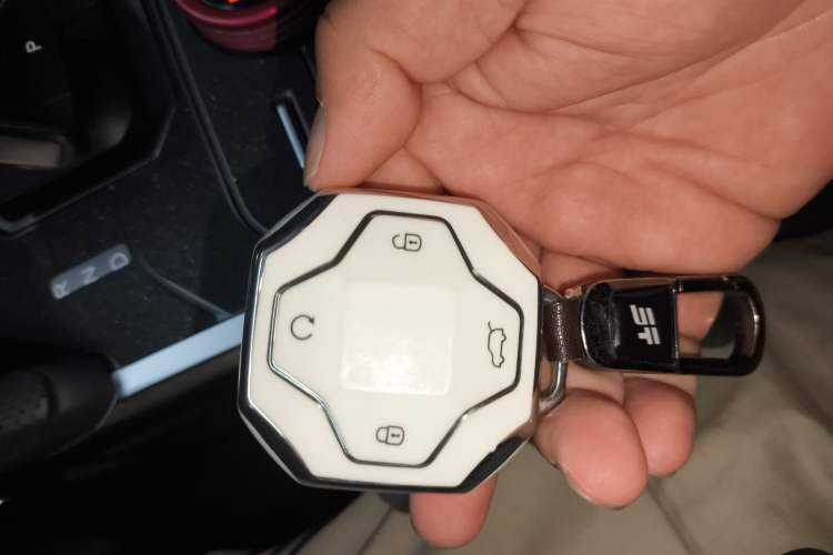 Used JETOUR Shanhai Traveler C-DM 2024 C-DM 129KM Linye Edition