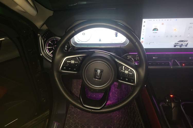 Used Tank 400 New Energy 2024 Hi4-T City Edition
