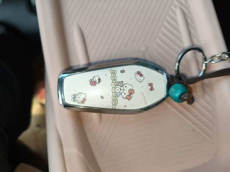 Used BYD Seagull 2025 305 km Free Version — 8